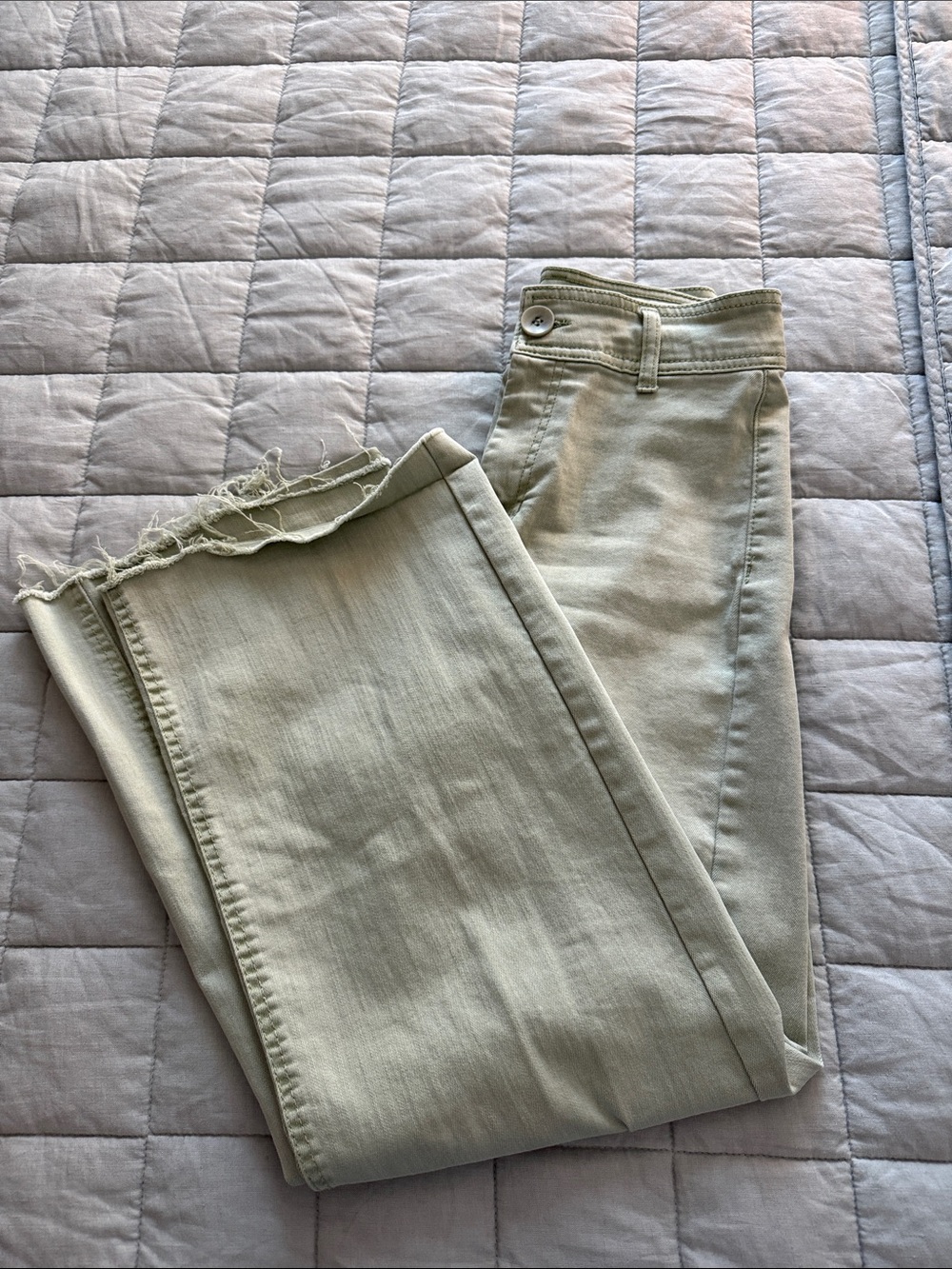 OAT NEW YORK Casual High-Rise Straight Leg Pants in Light Olive